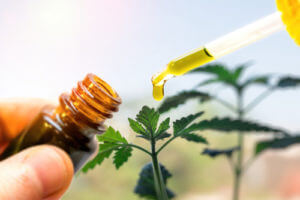 CBD For Hypertension